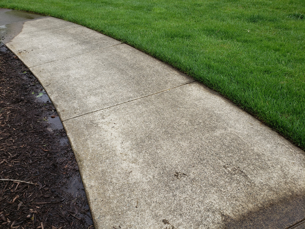 A  concrete path with freshly cut grass 